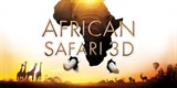 Afryka – Wyprawa na safari
