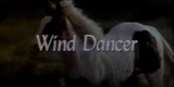 Tańcząca z wiatrem